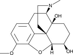 6β-Oxycodol图片