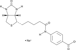 (+)-Biotin 4-Amidobenzoic Acid(sodium salt)图片