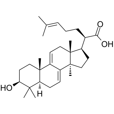 3-Dehydrotrametenolic acid图片