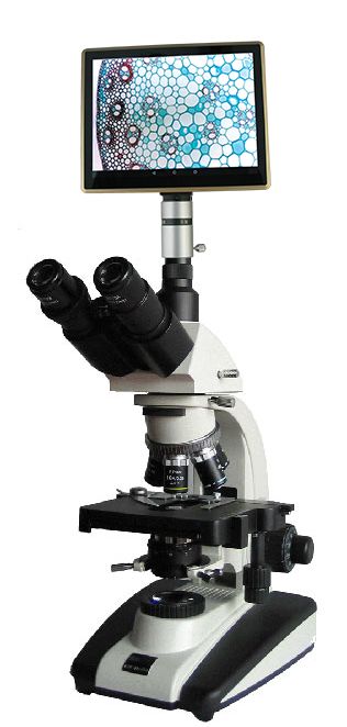 UIS相衬生物显微镜BM-20APHP(平板电脑)图片