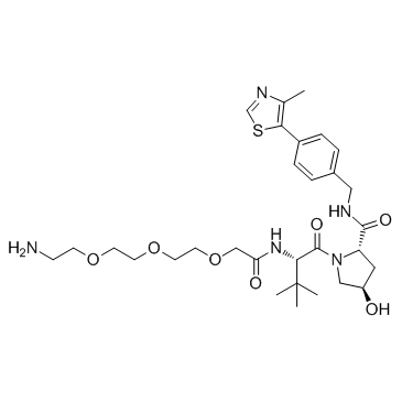 E3 ligase Ligand-Linker Conjugates 5 Free Base图片