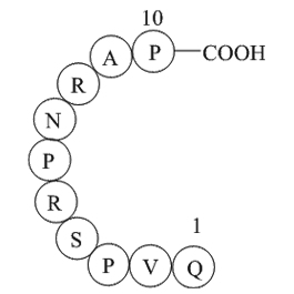Dynamin inhibitory peptide图片