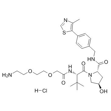 E3 ligase Ligand-Linker Conjugates 6图片