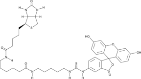 Fluorescein Biotin图片