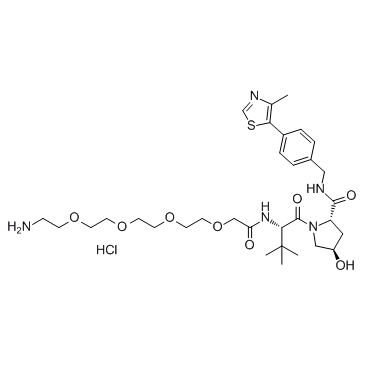 E3 ligase Ligand-Linker Conjugates 7图片