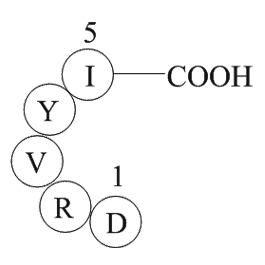 Angiotensin 1/2(1-5)图片
