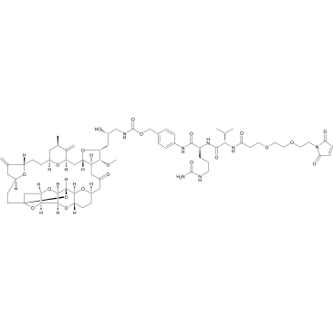 Mal-PEG2-VCP-Eribulin图片