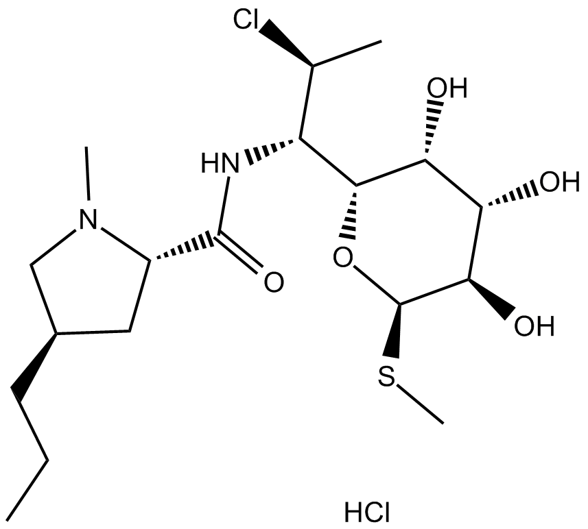 Clindamycin HCl图片