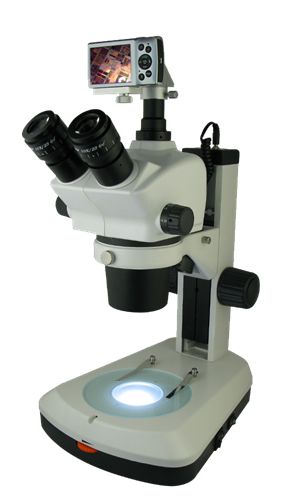 体视显微镜XTL-BM-8TS(数码,变倍,6.3X-50X)图片