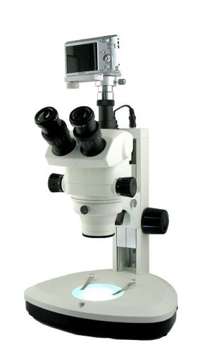 体视显微镜XTL-BM-9TS(数码,变倍,7.5-150X)图片