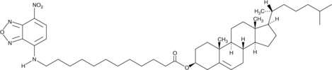 3-dodecanoyl-NBD Cholesterol图片