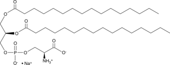 1,2-Dipalmitoyl-sn-glycero-3-PS(sodium salt)图片