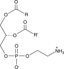 Phosphatidylethanolamines(egg)图片
