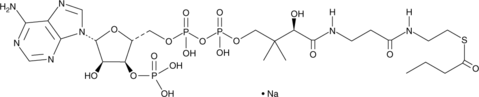 Butyryl Coenzyme A(sodium salt)图片