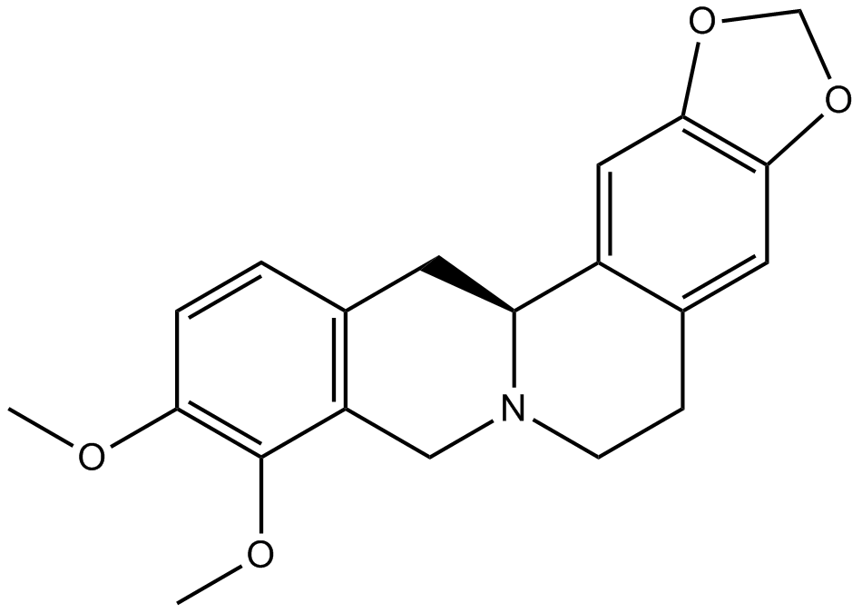 Tetrahydroberberine,THB图片
