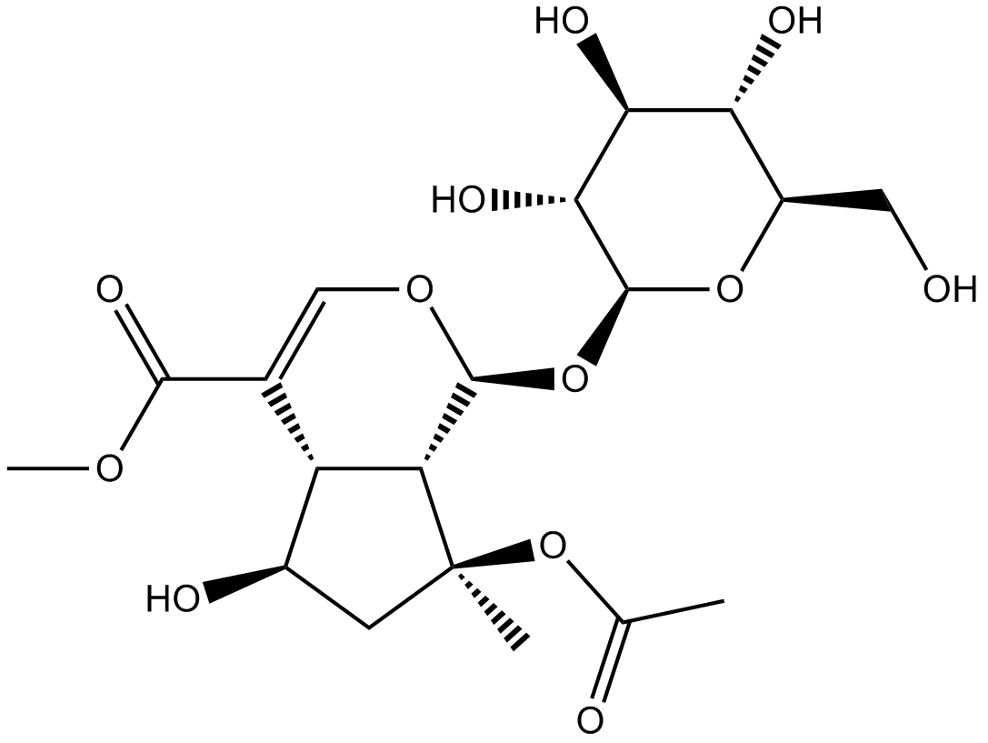 8-O-Acetyl shanzhiside methyl ester图片