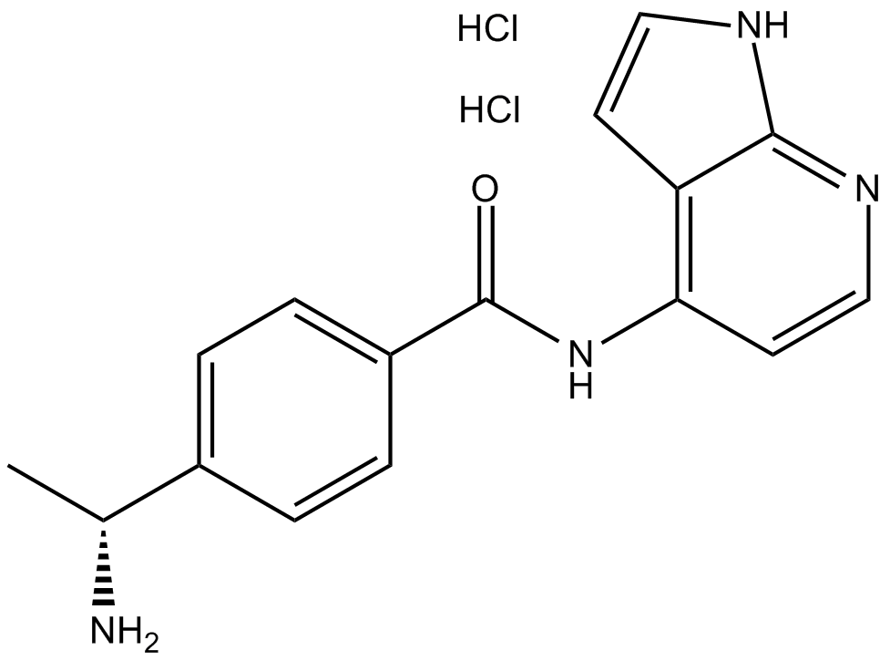 Y-39983 dihydrochloride图片