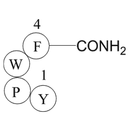 Endomorphin-1图片