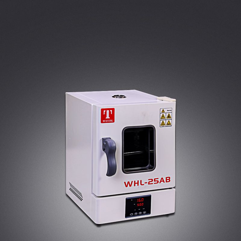 台式电热恒温干燥箱(WHL)系列图片