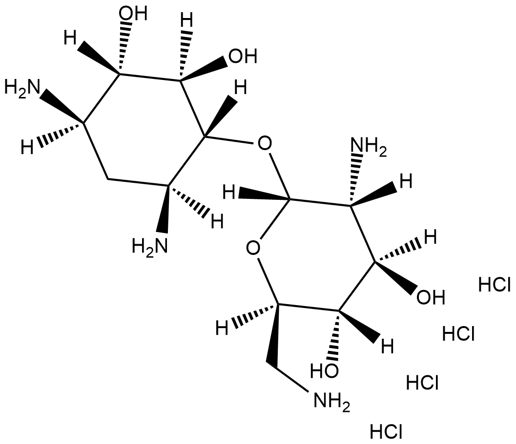 Neamine(hydrochloride)图片