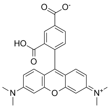 5-TAMRA(5-Carboxytetramethylrhodamine)图片