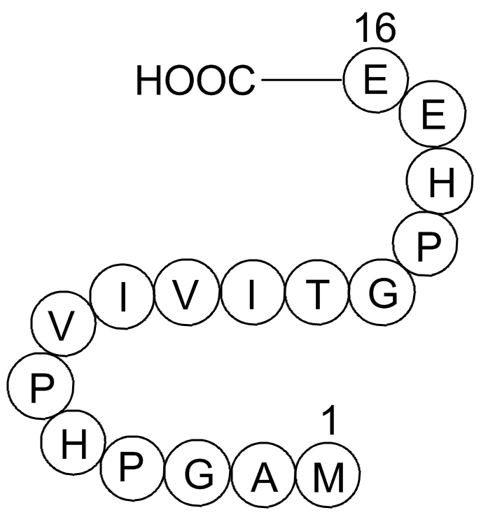NFAT Inhibitor图片