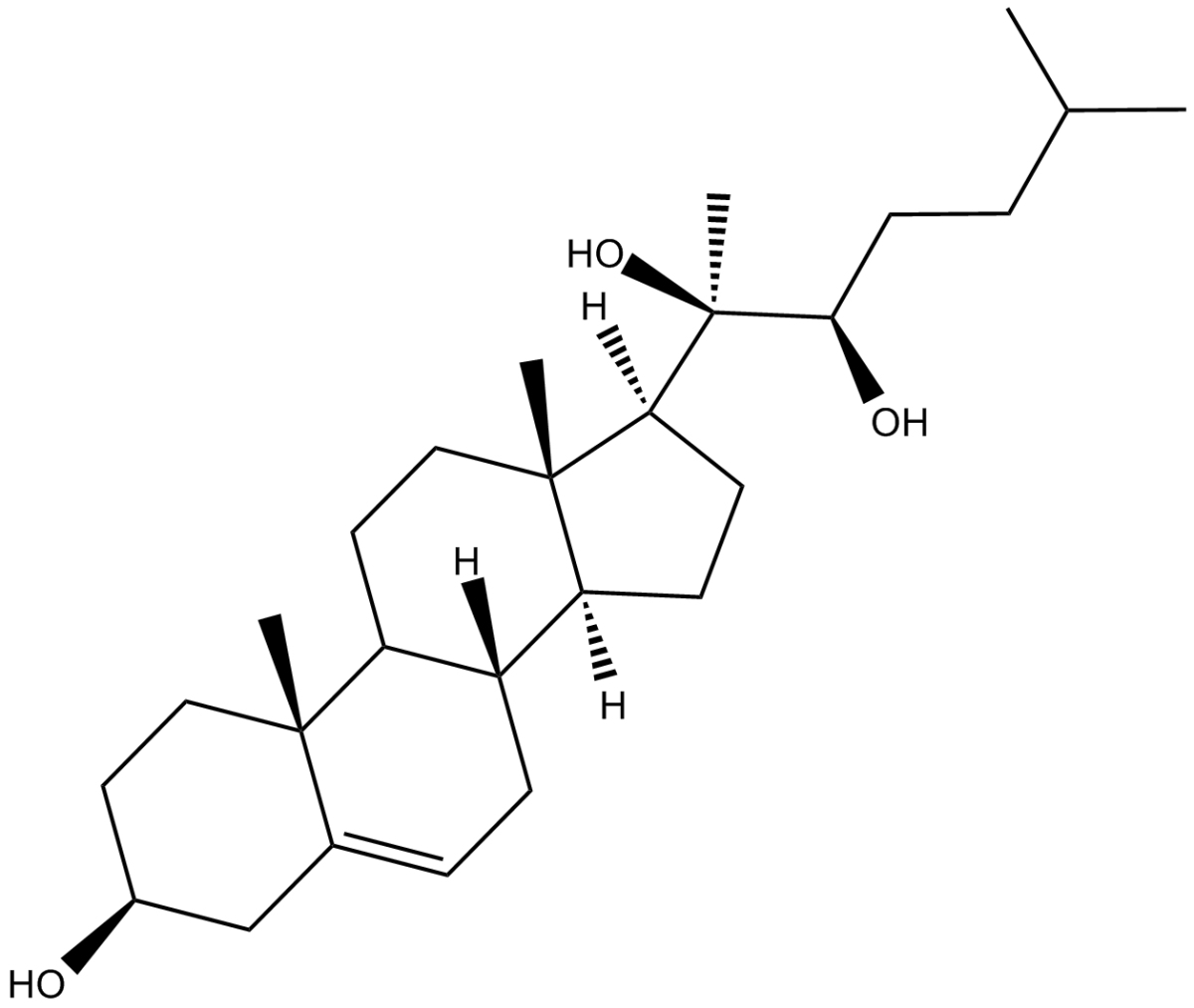 Oxy-16图片