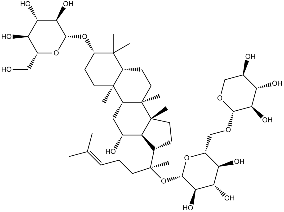 Gynostemma Extract图片