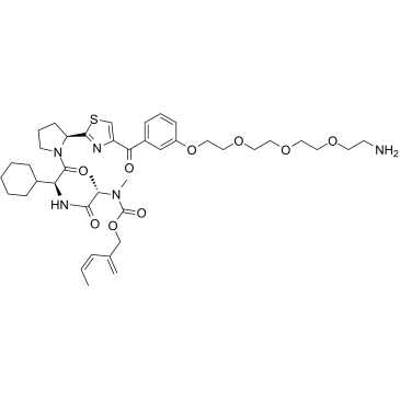 E3 ligase Ligand-Linker Conjugates 41图片