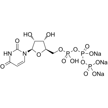 Uridine triphosphate trisodium salt图片