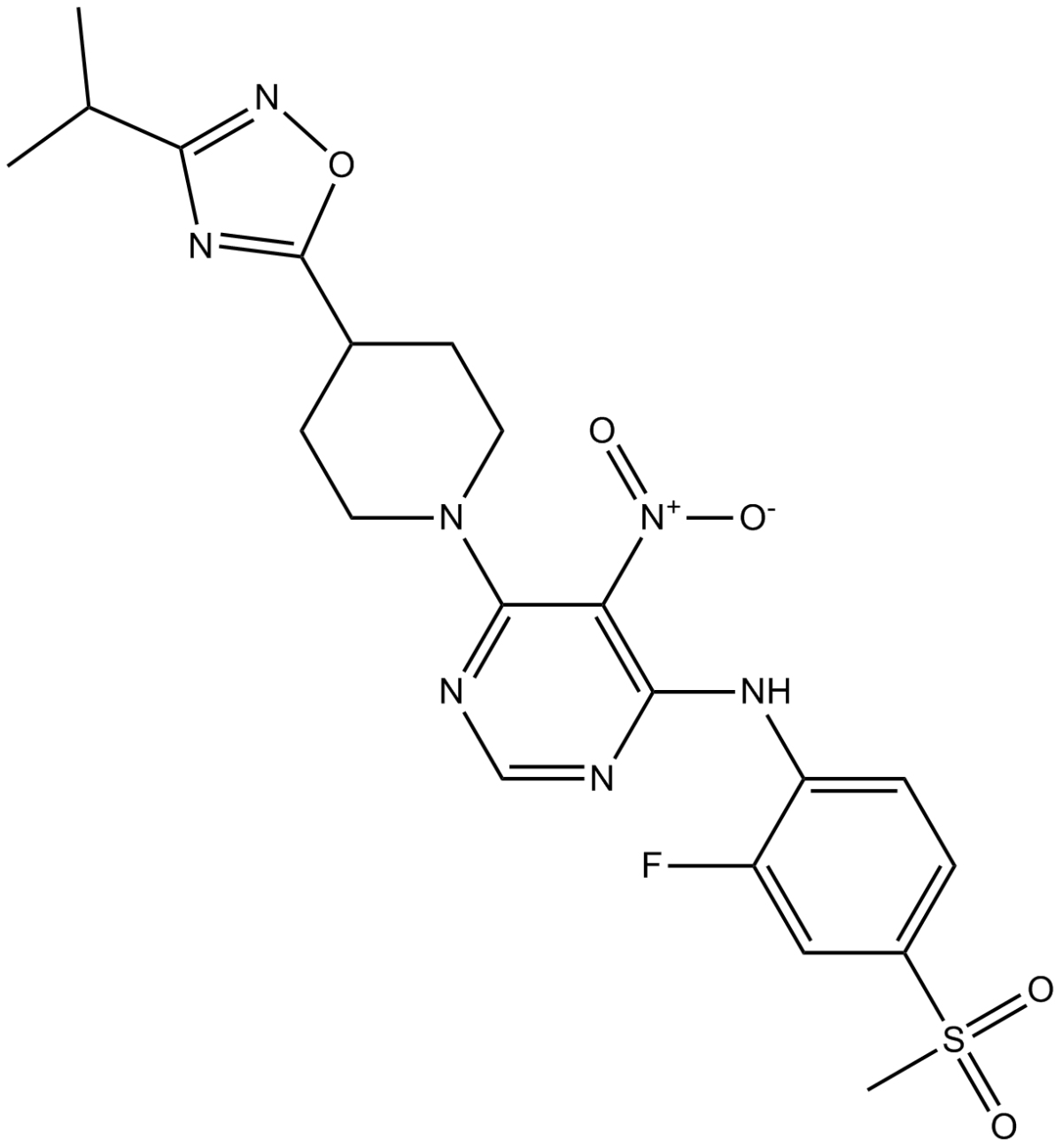 AR 231453图片