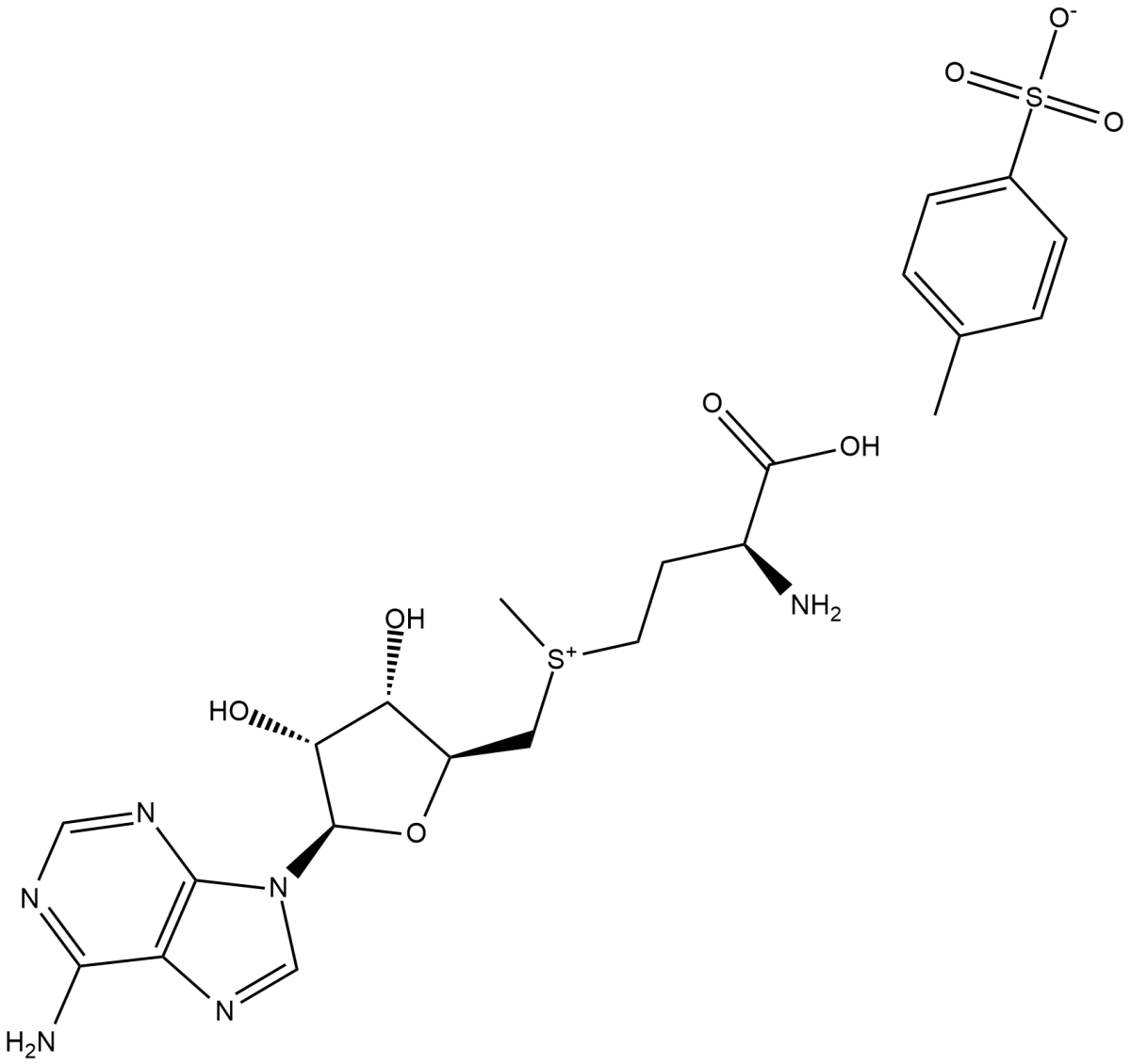 S-(5'-Adenosyl)-L-methionine(tosylate)图片