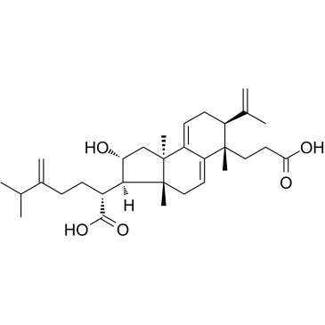 Poricoic acid A图片