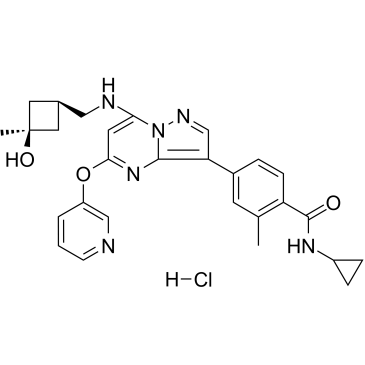 CFI-402257 hydrochloride图片
