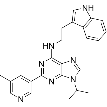 GNF351图片