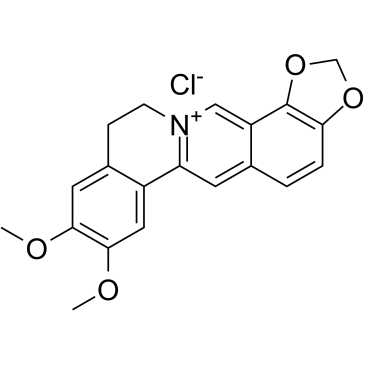 Epiberberine chloride图片