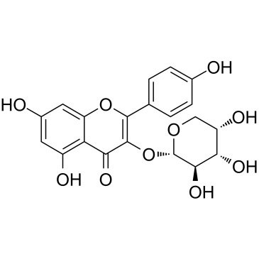 Kaempferol 3-O-arabinoside图片
