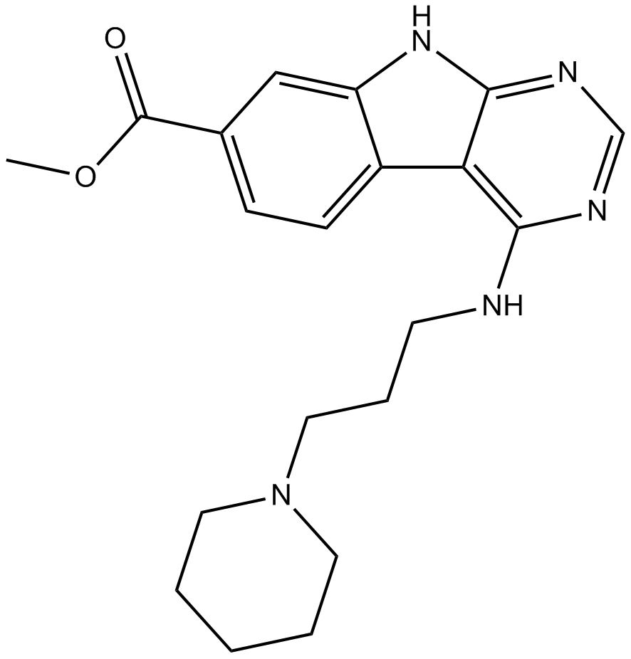 UM 729图片
