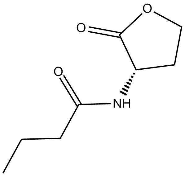 N-butyryl-L-Homoserine lactone图片