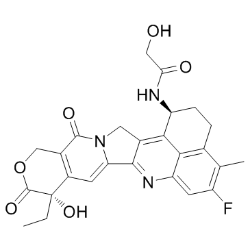 Dxd(Exatecan derivative)图片