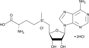 S-(5'-Adenosyl)-L-methionine chloride(hydrochloride)图片