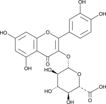 Quercetin 3-O-glucuronide图片