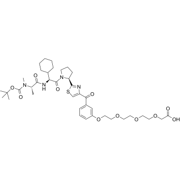 E3 ligase Ligand-Linker Conjugates 40图片