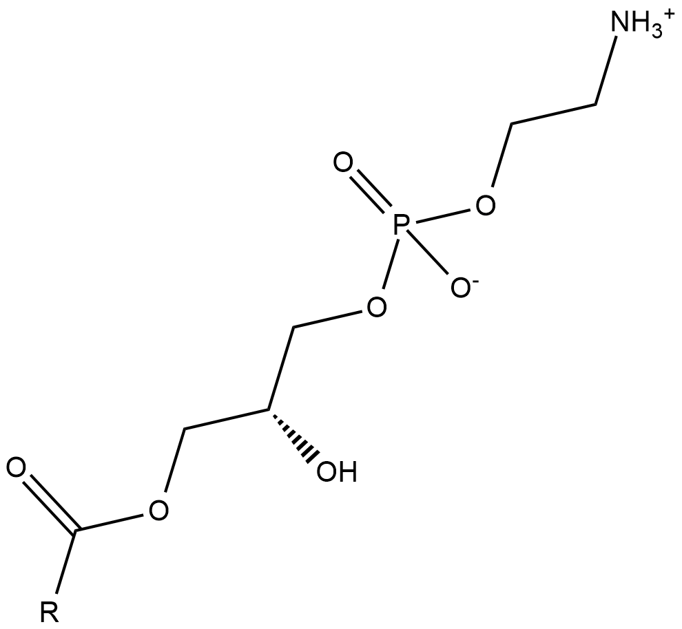 Lysophosphatidylethanolamines(egg)图片