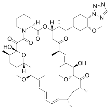 42-(2-Tetrazolyl)rapamycin图片