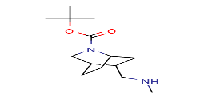 tert-butyl5-(methylaminomethyl)-2-azabicyclo[2,2,2]octane-2-carboxylate图片