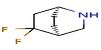(1S,4S)-5,5-difluoro-2-azabicyclo[2,2,2]octane图片