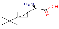 (2R)-2-amino-2-{3-tert-butylbicyclo[1,1,1]pentan-1-yl}aceticacid图片
