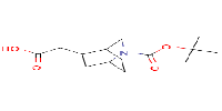 2-(2-tert-butoxycarbonyl-2-azabicyclo[2,2,2]octan-5-yl)aceticacid图片