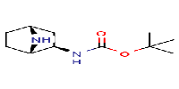 tert-butylN-[(1S,2R,4R)-7-azabicyclo[2,2,1]heptan-2-yl]carbamate图片